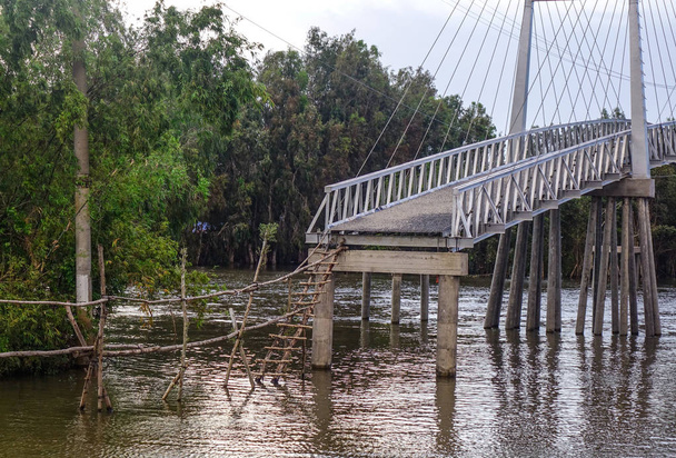Unfinished cable bridge in Mekong Delta, Southern Vietnam. - 写真・画像
