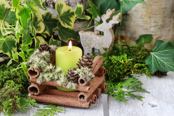 Candle holder made of cinnamon sticks and moss.  - Photo, image