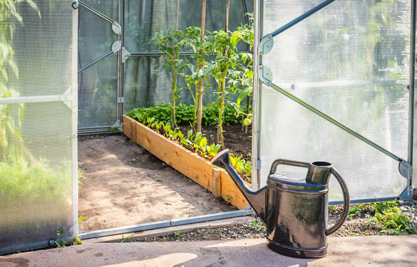 Greenhouse in back garden with open door and bailer - Photo, Image