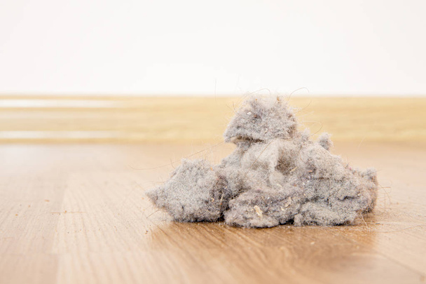 Пыль и грязь на деревянном полу с копировальным местом
 - Фото, изображение