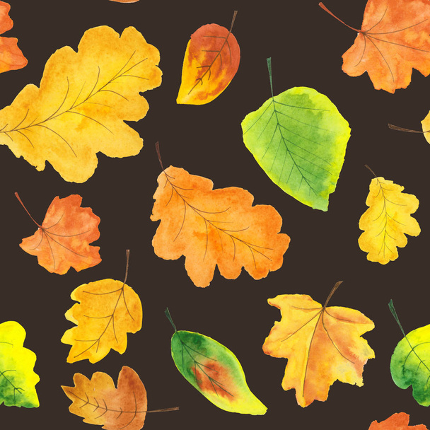 Acquerello autunno foglie modello
 - Foto, immagini