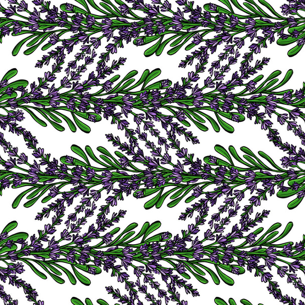 Botanical vector seamless pattern background with lavender flowers and branches. Perfect for wallpapers, web page backgrounds, surface textures, textile. - Vetor, Imagem