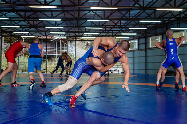 Altai, Russia  August 16, 2019:  Two young men in   wrestling tights are wrestlng and making a hip throw on a blue wrestling carpet in the gym. Open training and summer sports camps  - 写真・画像