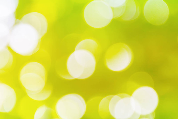 groene bokeh natuurlijke kleur abstract wazig achtergrond warm blad  - Foto, afbeelding