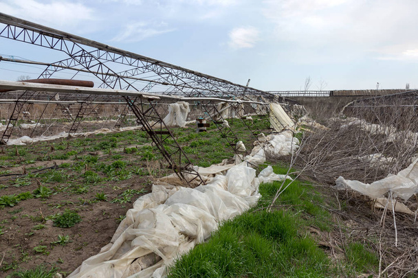 野菜栽培用温室。放棄された誰も産業資本の温室を必要としなかった。農業、経済危機ウクライナ2019を破壊。大規模な工業用温室。産業農業 - 写真・画像