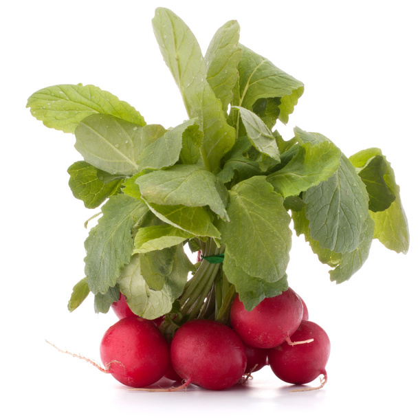 Small garden radish with leaves - Photo, Image