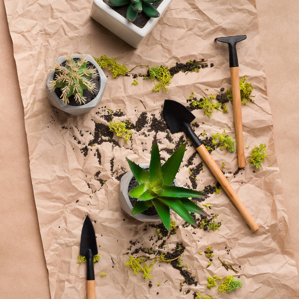 Plantes succulentes et outils de jardinage sur papier artisanal
 - Photo, image