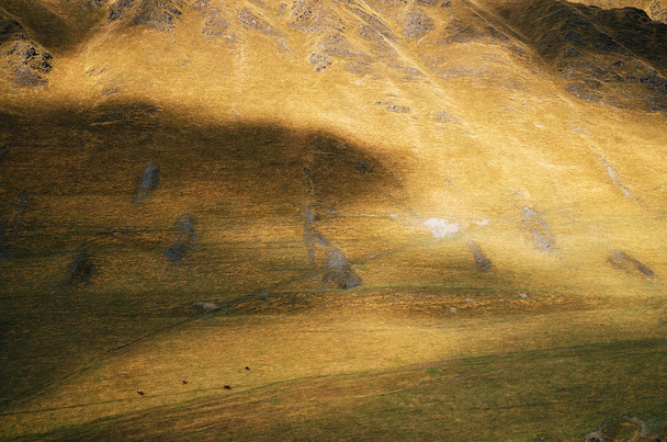 Les vaches paissent sur l'immense flanc de montagne à Ushguli, Haute Svaneti, Géorgie
 - Photo, image