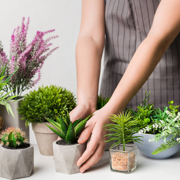Mulher cuidando de várias plantas de sala em vaso, colheita
 - Foto, Imagem