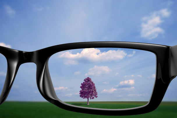 Widok przez okulary natury przez okulary w dobrej ostrości - Zdjęcie, obraz