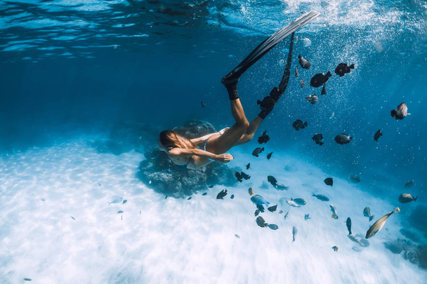 Mujer freediver buceo con aletas sobre el mar de arena con peces en Haw
 - Foto, Imagen