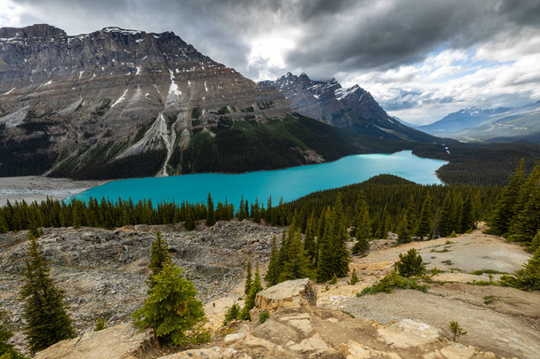 Λίμνη Peyto του εθνικού πάρκου Μπανφ στον Καναδά - Φωτογραφία, εικόνα