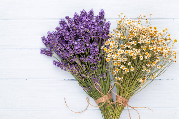 Lavender flowers on a white background. - 写真・画像