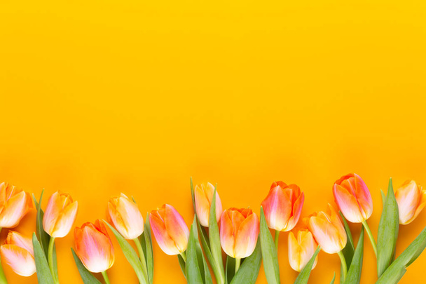 Yellow pastels color tulips on yellow background. - Foto, imagen