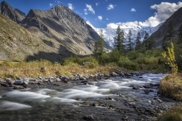 Mountain river at the foot of Belukha Mountain in the Altai Republic. - Fotó, kép
