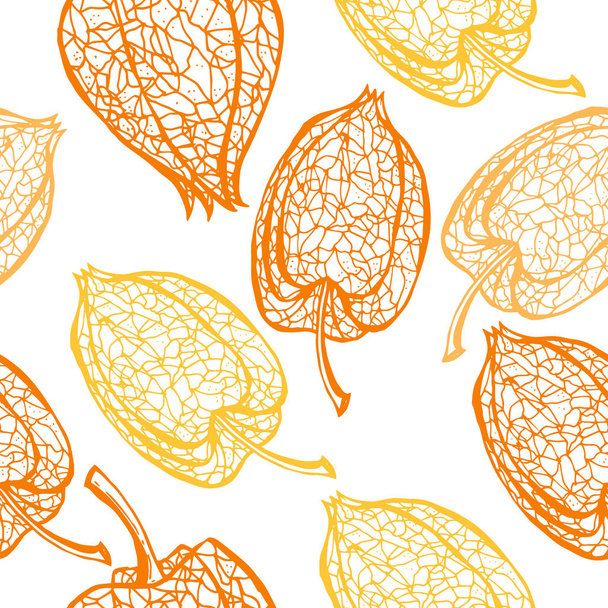Seamless pattern with branches physalis. Skeleton winter cherry with berry vector seamless background.  - Wektor, obraz