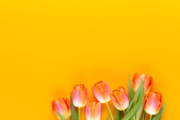 Yellow pastels color tulips on yellow background. - Foto, Imagen