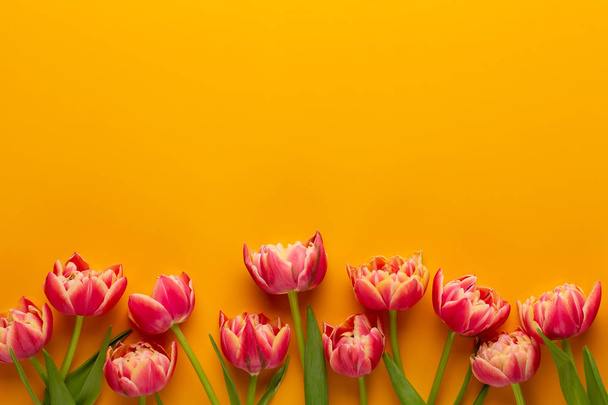 Spring tulips on yellow colors background. Retro vintage style. - Foto, afbeelding