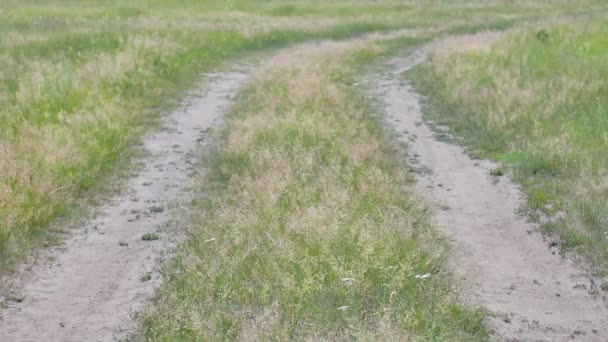 Landscape dirt road in a sowing field turn right. - Footage, Video