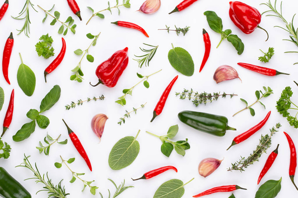 Μπαχαρικά φύλλα βοτάνων και καυτερή πιπεριά σε λευκό φόντο. Χορτοφαγικά - Φωτογραφία, εικόνα