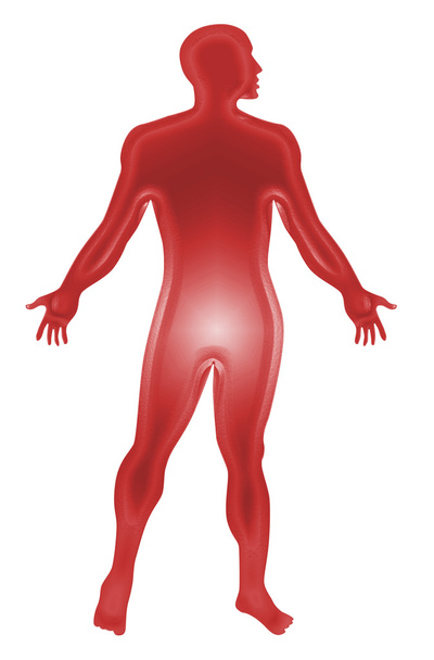 Esquema de anatomía humana masculina Rojo
 - Foto, imagen