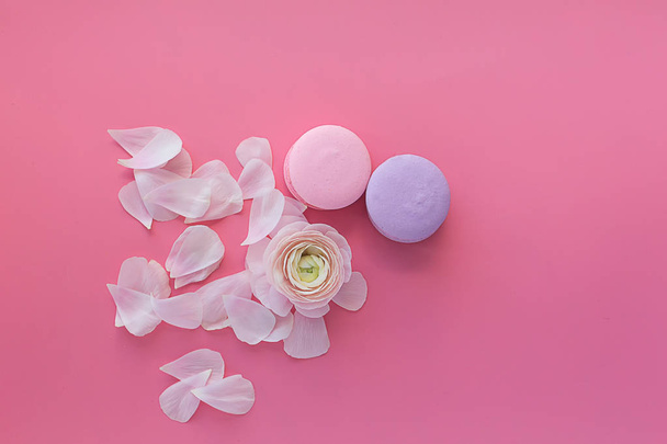 macaroni and white flower on pink background - Фото, изображение