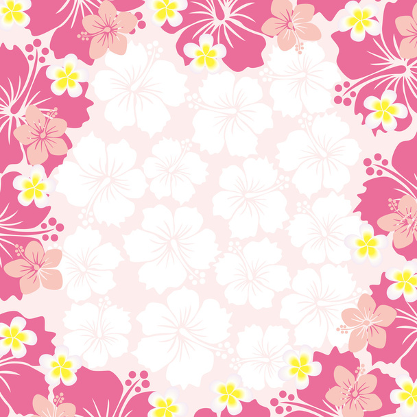 Hibiscus Frame - Vector, afbeelding
