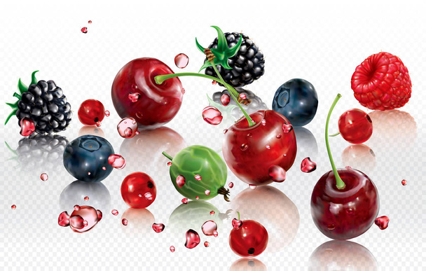 Berries mix into burst splashes of juices - Vector, Image