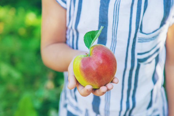 child with an apple in the garden. Selective focus. - Valokuva, kuva