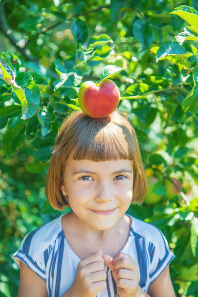 ребенок с яблоком в саду. Селективный фокус
. - Фото, изображение