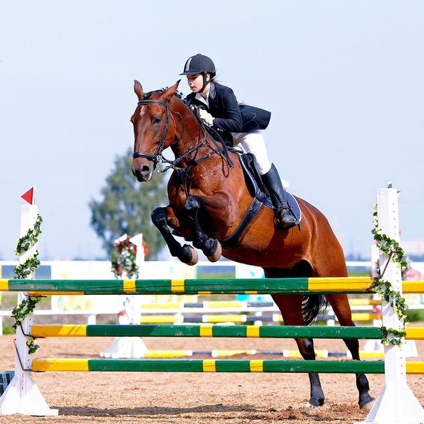 Equestrian sport competitions. - Valokuva, kuva