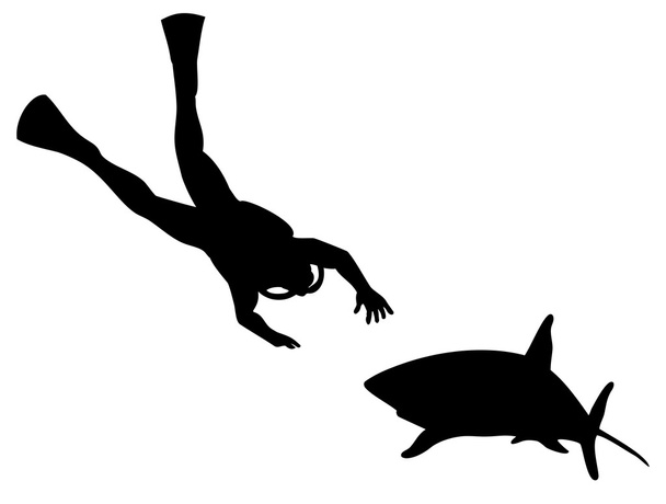 Mergulhador e silhueta de tubarão
 - Foto, Imagem