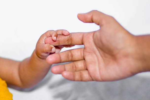 母親の指を握るアジアの赤ちゃんの手 - 写真・画像