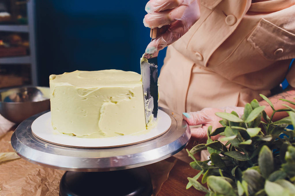 womens hands making biscuit cake with white cream using a cooking spatula. - Photo, image