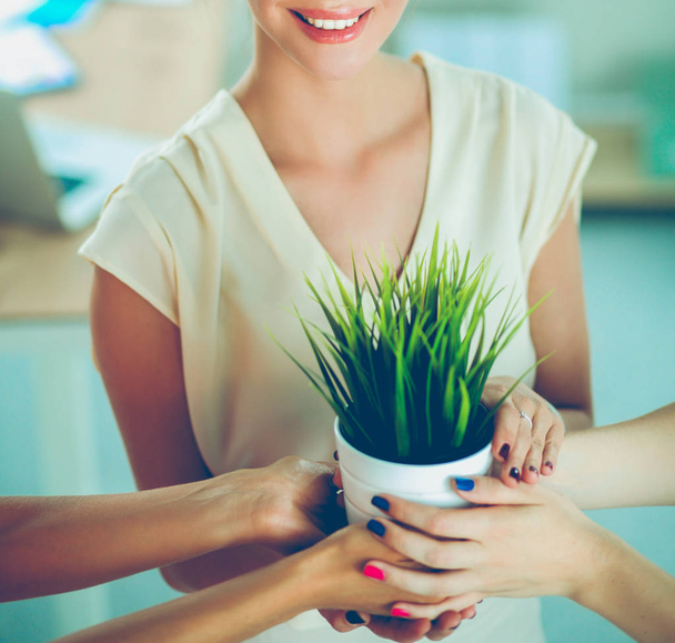 Beautiful woman holding pot with a plant - Foto, afbeelding
