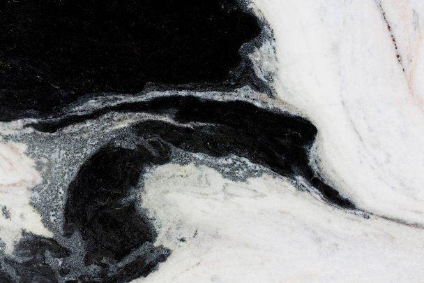 Black and white marble with grey lines. - Photo, Image