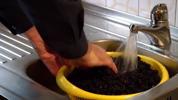 Homemade juice from Wild Blackberries-Rinsing and separation Blackberries - Záběry, video