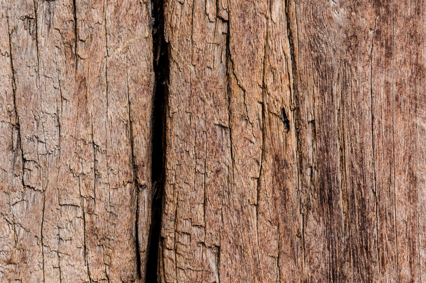 Brown decay wood - Фото, зображення