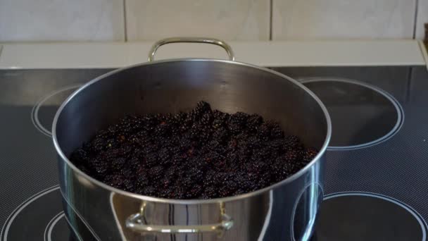 Kotitekoinen mehu Wild Blackberries-Lisäämällä sokeria
 - Materiaali, video