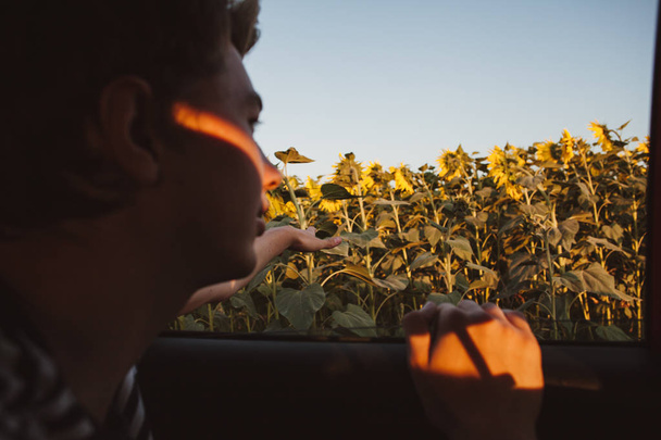 La vista desde la ventana del coche en el campo con flores de sol.El tipo mira por la ventana del coche en el campo
 - Foto, Imagen