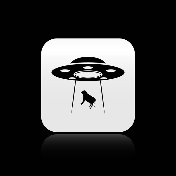 Zwarte UFO onttrekt koe icoon geïsoleerd op zwarte achtergrond. Vliegende schotel. Buitenaardse ruimteschip. Futuristisch onbekend vliegend object. Zilveren vierkante knop. Vector illustratie - Vector, afbeelding