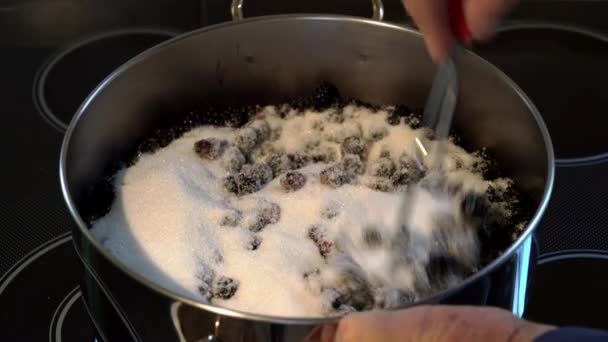 hausgemachter Saft aus wilden Brombeeren-Kneten - Filmmaterial, Video