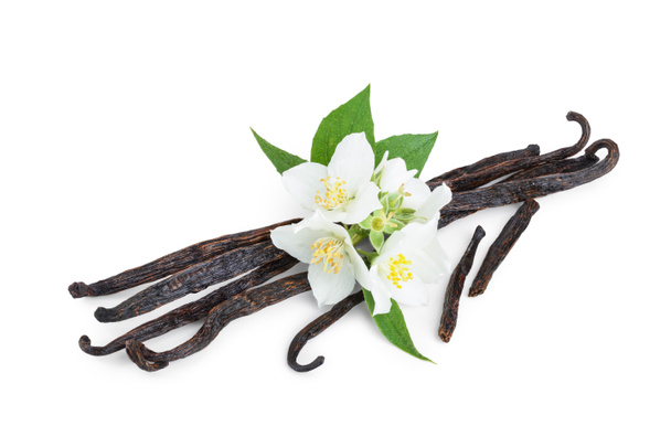 Bastoncini di vaniglia con fiore e foglia isolati su sfondo bianco
 - Foto, immagini