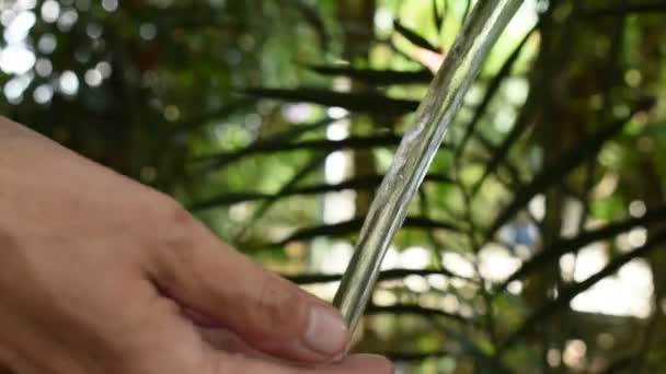 hand Putting op waterstroming en spetteren in de tuin - Video