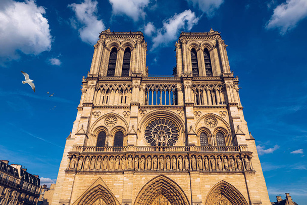 Üzerinde martılar uçan Notre Dame de Paris katedrali, Fran - Fotoğraf, Görsel