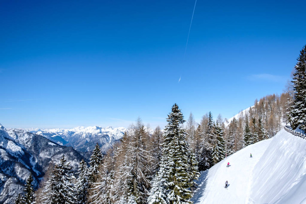 zimowy dzień w Alpach z Friuli Venezia-Giulia - Zdjęcie, obraz