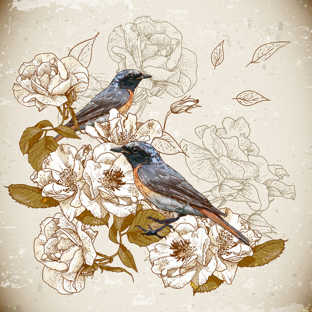Fundo floral vintage com pássaros
 - Vetor, Imagem