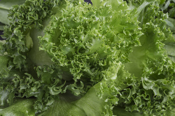 Green leaves of curly lettuce, close-up - Photo, image