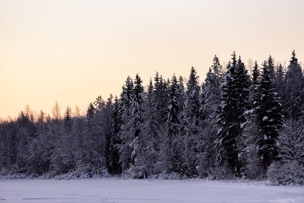 Ледяное озеро и лес покрылись обильным снегом и закатом - Фото, изображение