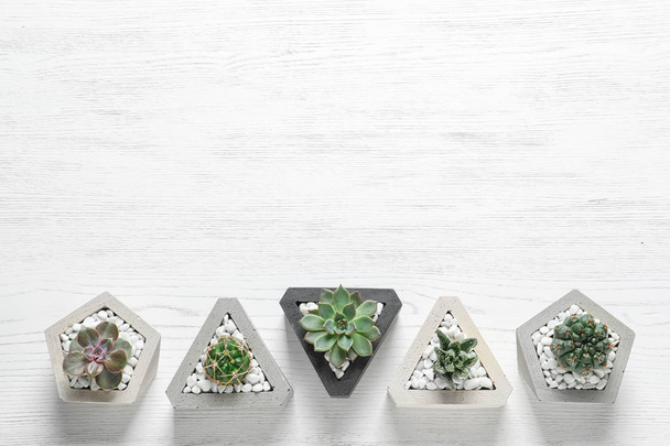Beautiful succulent plants in stylish flowerpots on white wooden background, flat lay with space for text. Home decor - Foto, Bild